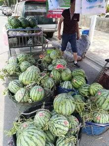 汾阳吃瓜最新事件爆料新闻,最新爆料揭示惊人内幕  第2张